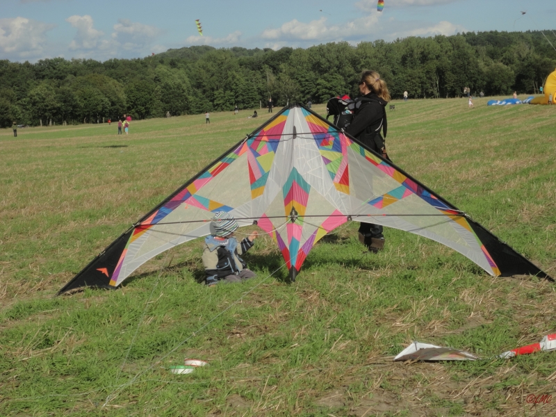 Ollsen_2013_007
