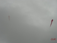 Ollsen_2013_003