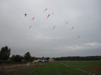 Ollsen_2013_004
