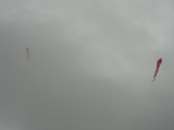 Ollsen_2013_003