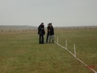 Speedcontest_2013_007