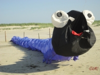 St_Peter-Ording_2013_011