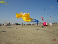 St_Peter-Ording_2013_013