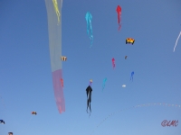 St_Peter-Ording_2013_014