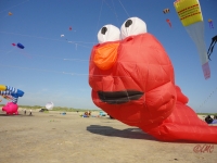 St_Peter-Ording_2013_015