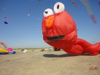 St_Peter-Ording_2013_017