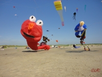 St_Peter-Ording_2013_018