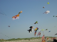 St_Peter-Ording_2013_020