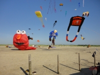 St_Peter-Ording_2013_022