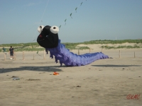 St_Peter-Ording_2013_026