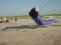 St_Peter-Ording_2013_027