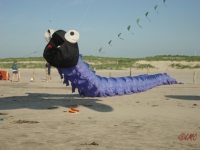 St_Peter-Ording_2013_028