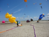 St_Peter-Ording_2013_003