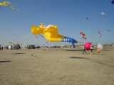 St_Peter-Ording_2013_013