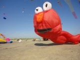 St_Peter-Ording_2013_017