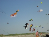 St_Peter-Ording_2013_020