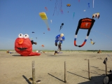St_Peter-Ording_2013_022