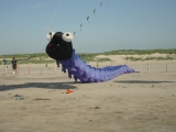 St_Peter-Ording_2013_026