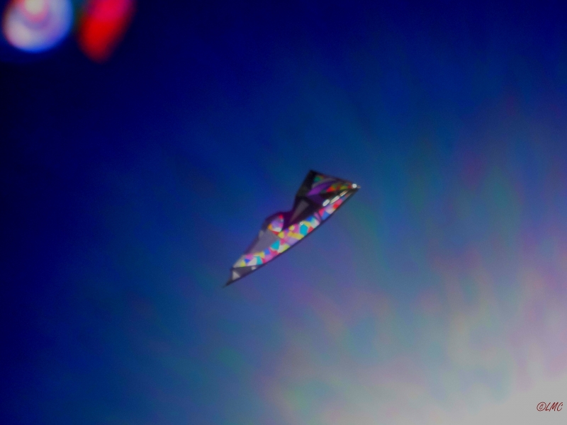 Wolsing_2013_007