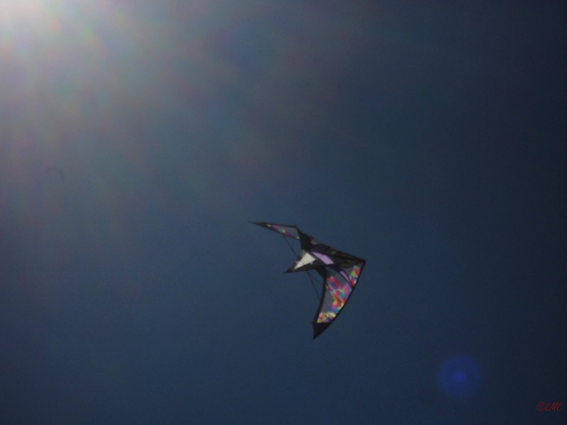 Wolsing_2013_009