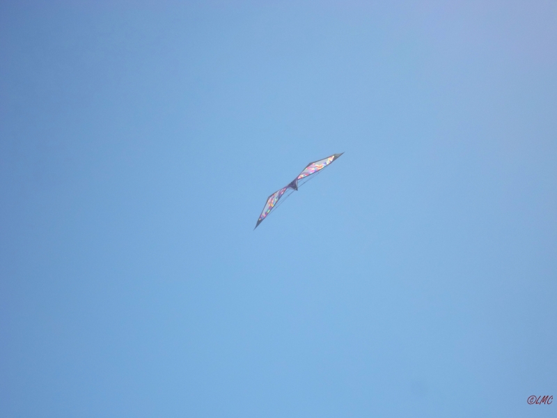 Wolsing_2013_012