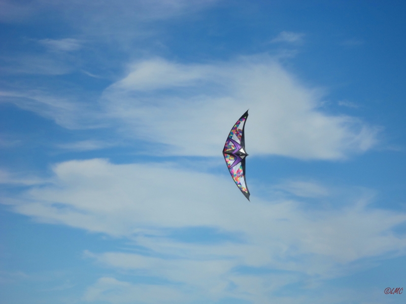Wolsing_2013_018