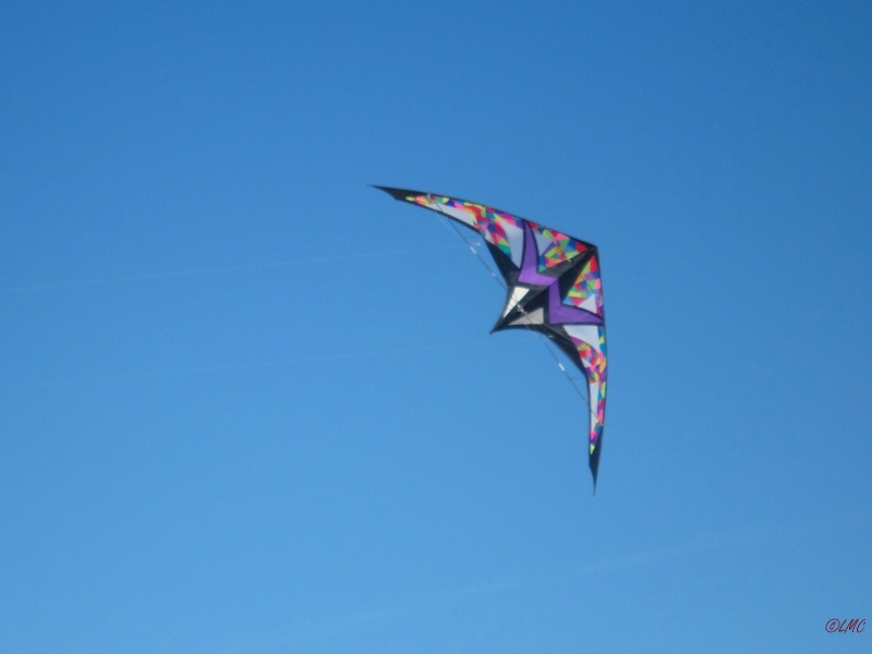 Wolsing_2013_019