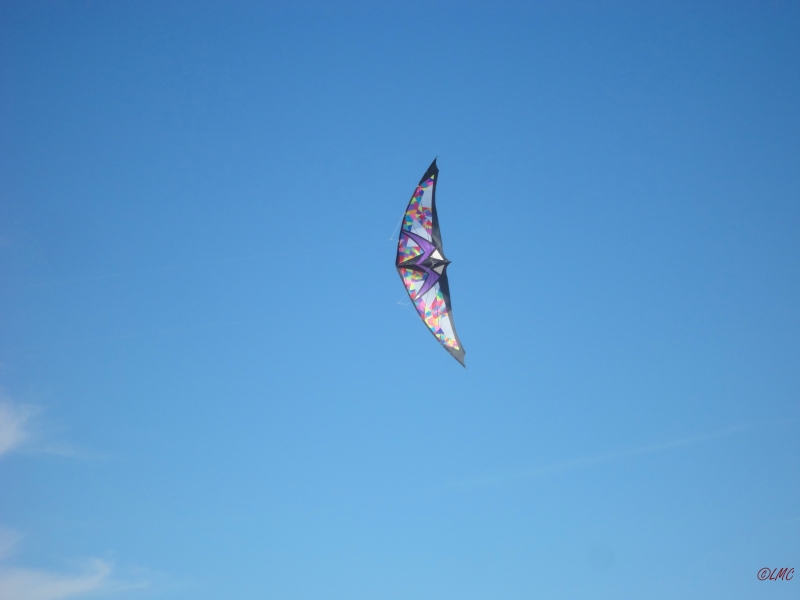 Wolsing_2013_020