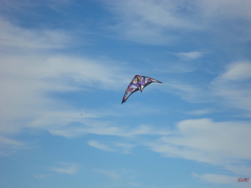 Wolsing_2013_022