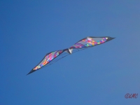Wolsing_2013_008