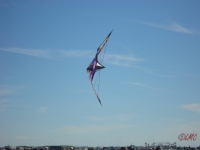 Wolsing_2013_010