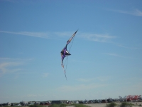 Wolsing_2013_011