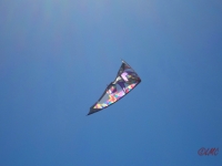 Wolsing_2013_013