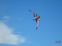 Wolsing_2013_015