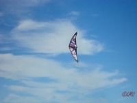 Wolsing_2013_017