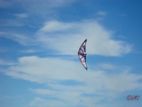 Wolsing_2013_018