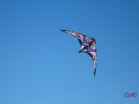 Wolsing_2013_019