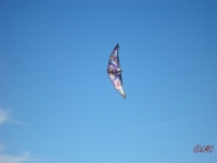 Wolsing_2013_020