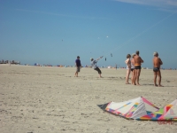 Wolsing_2013_021
