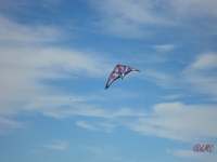 Wolsing_2013_022