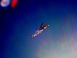 Wolsing_2013_007