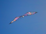 Wolsing_2013_008