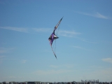 Wolsing_2013_010