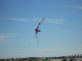 Wolsing_2013_011