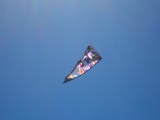 Wolsing_2013_013