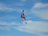 Wolsing_2013_014