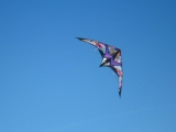 Wolsing_2013_019