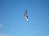 Wolsing_2013_020