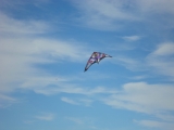 Wolsing_2013_022