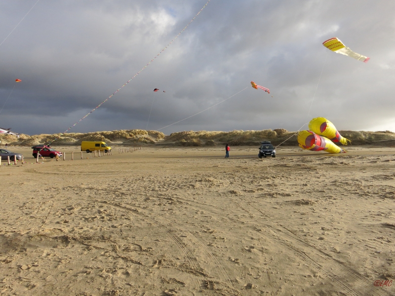 AWD_2014_011